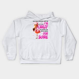 Pink Flamingo You'll Think I'm Crazy Flamingo Lover Kids Hoodie